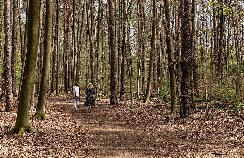 Umgebung Düppel